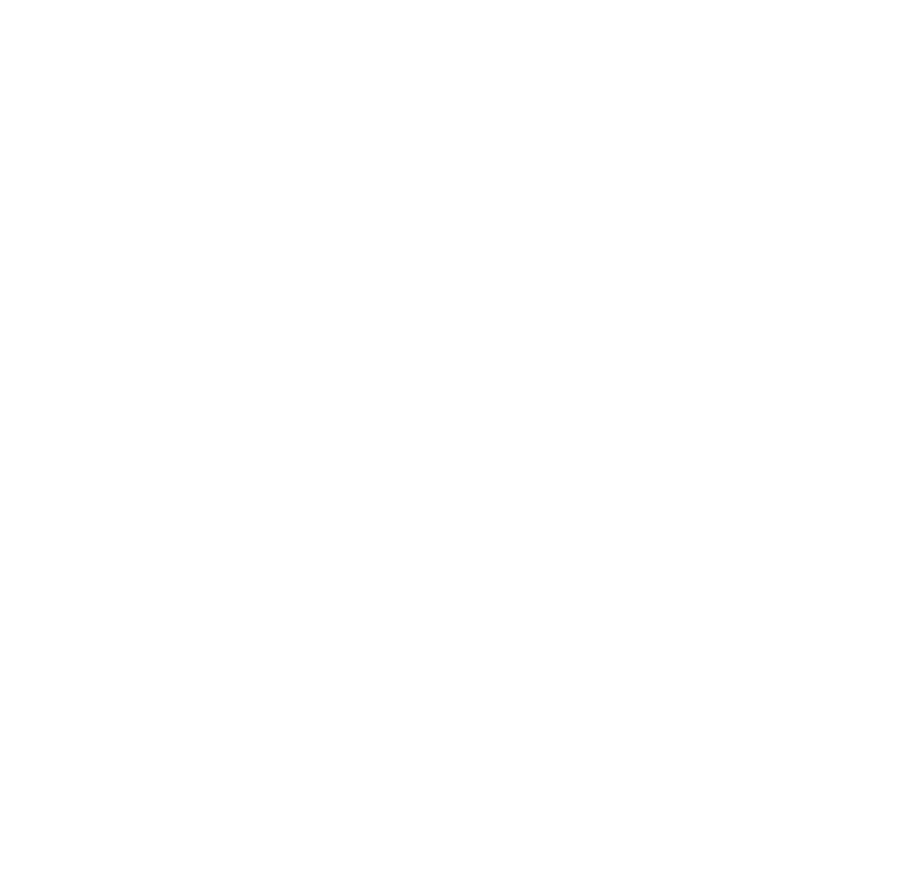PMII Logo